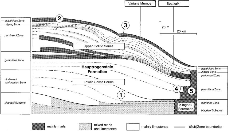 Stratigraphy_Hauptrogenstein_Gonzales & Wetzel (1996)