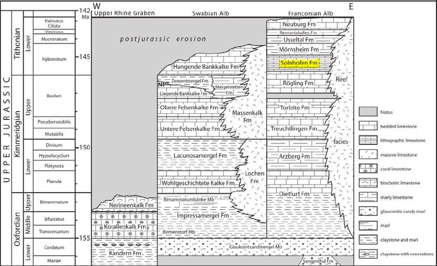 Stratigraphy_Solnhofen_Schmid, Leinfelder & Schweigert (2005)_marked