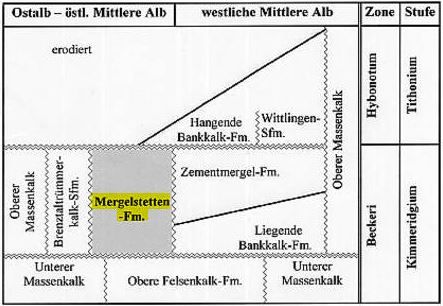 Stratigraphy_Schweigert & Franz (2003)_marked