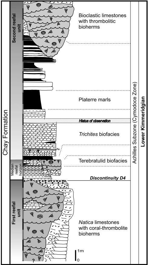 Stratigraphy_La Rochelle_Olivier et al. (2003)