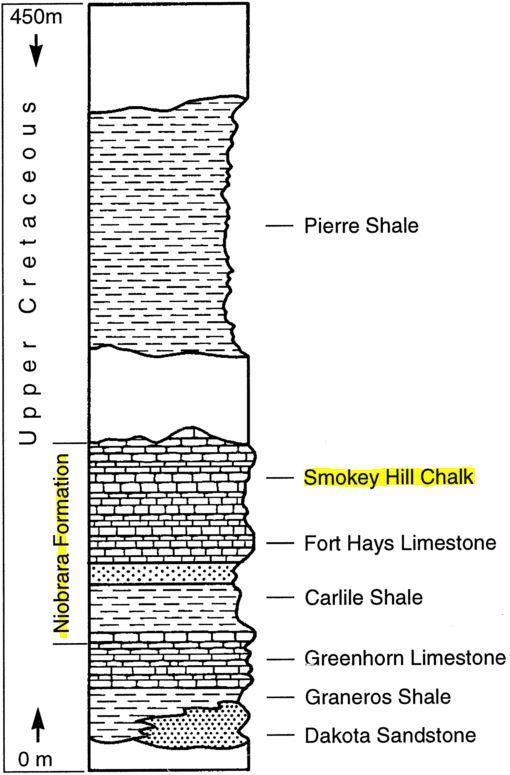 Stratigraphy_Laporte (1968)_marked
