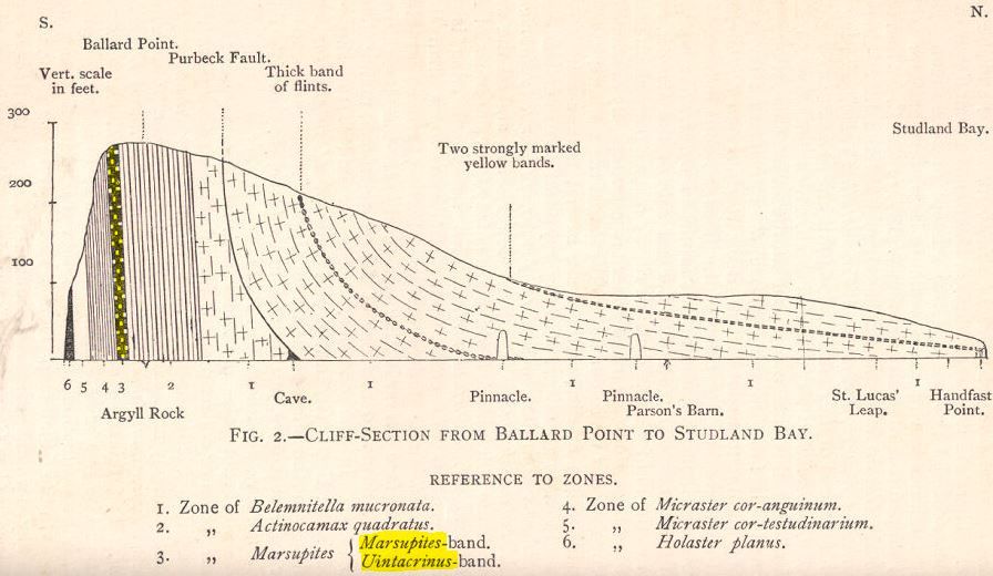 Section_Chalk cliffs_Ballard Point_Rowe (1902)_marked