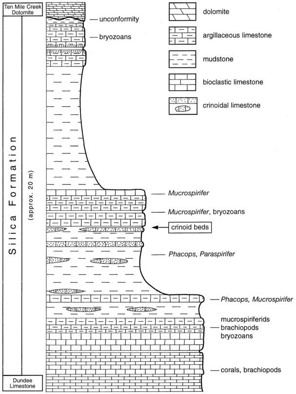 Stratigraphy_Silica Shale_Liesling & Cilman (1975)