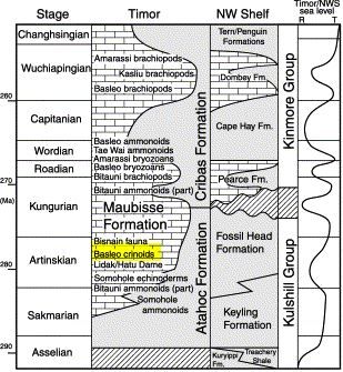 Stratigraphy_Basleo_Charlton et al. (2002)_marked