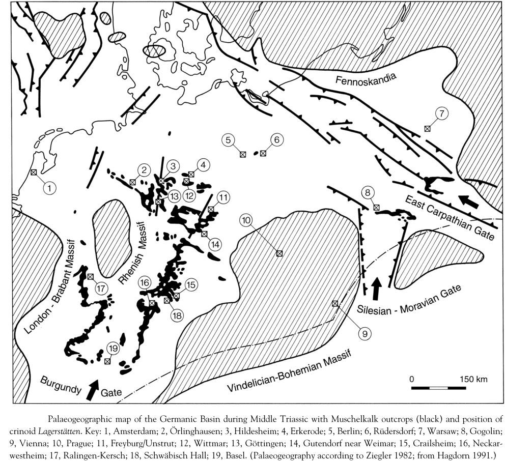 Map_Muschelkalk_Hagdorn (1991)